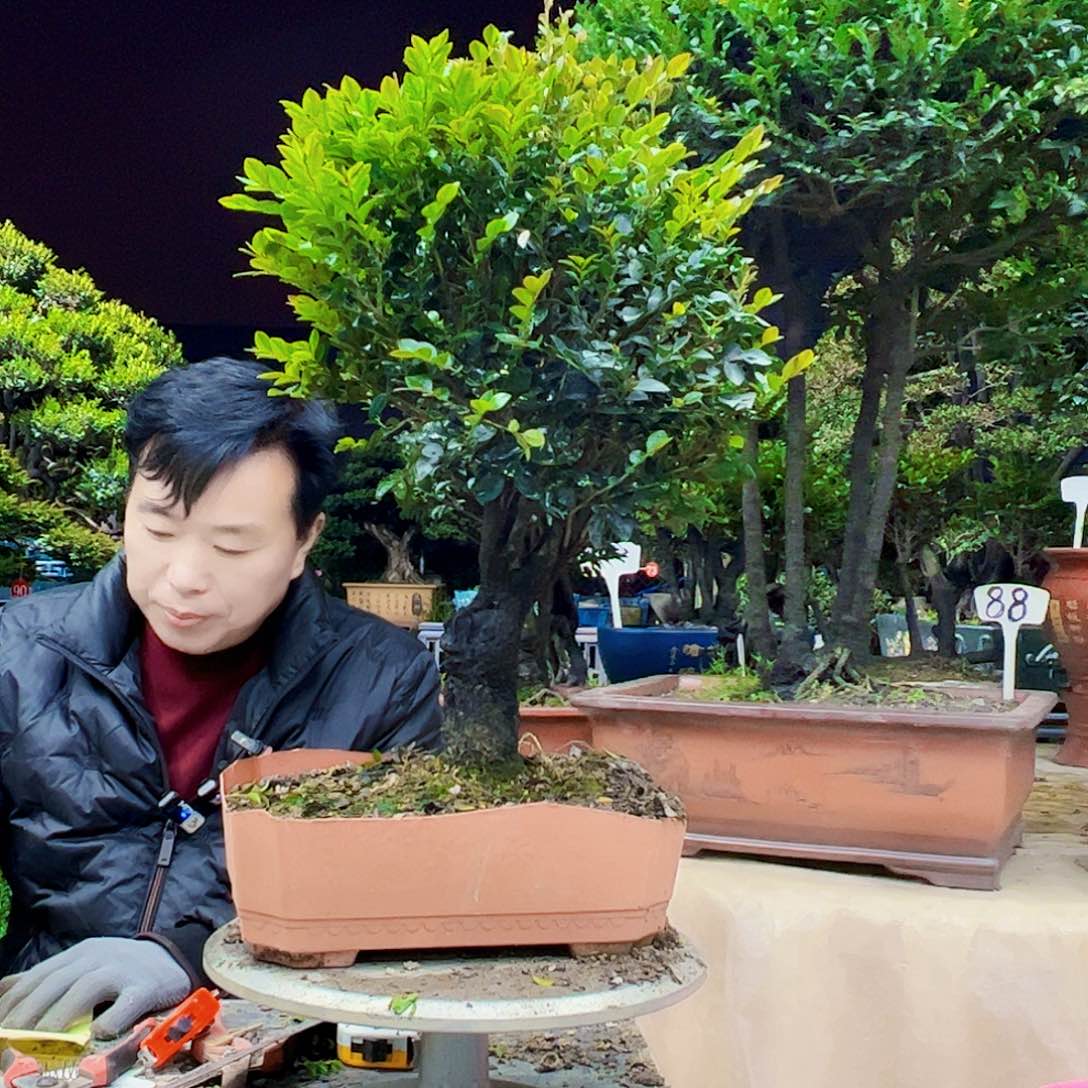 以实际为准嘀*12345678