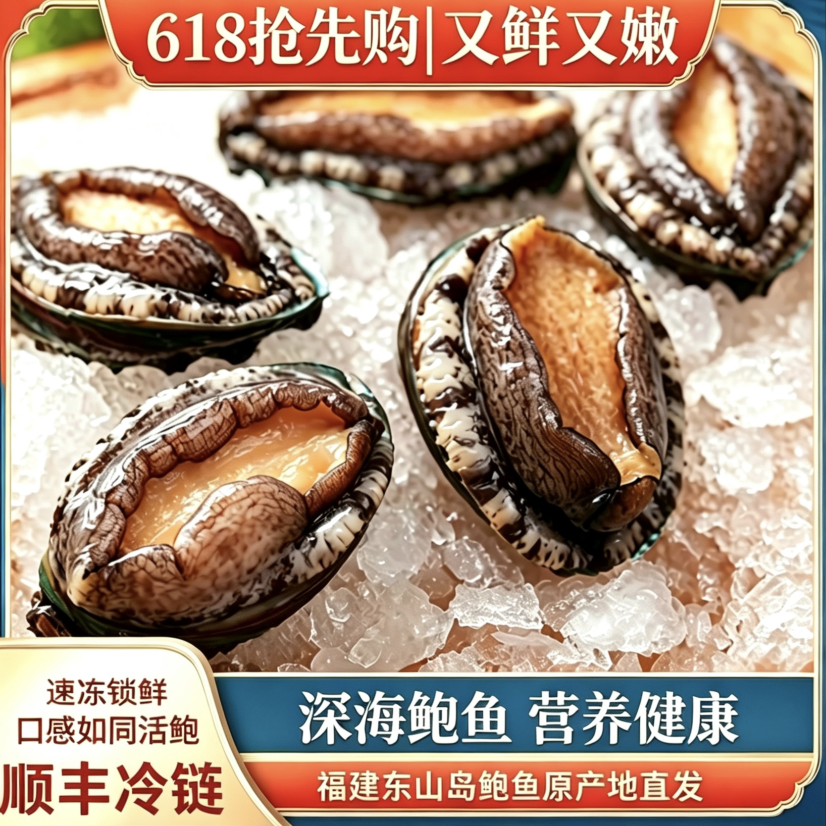5-6头鲍鱼生鲜海鲜新鲜冷冻7-7.5cm左右东山岛深海冷链速冻鲍鱼