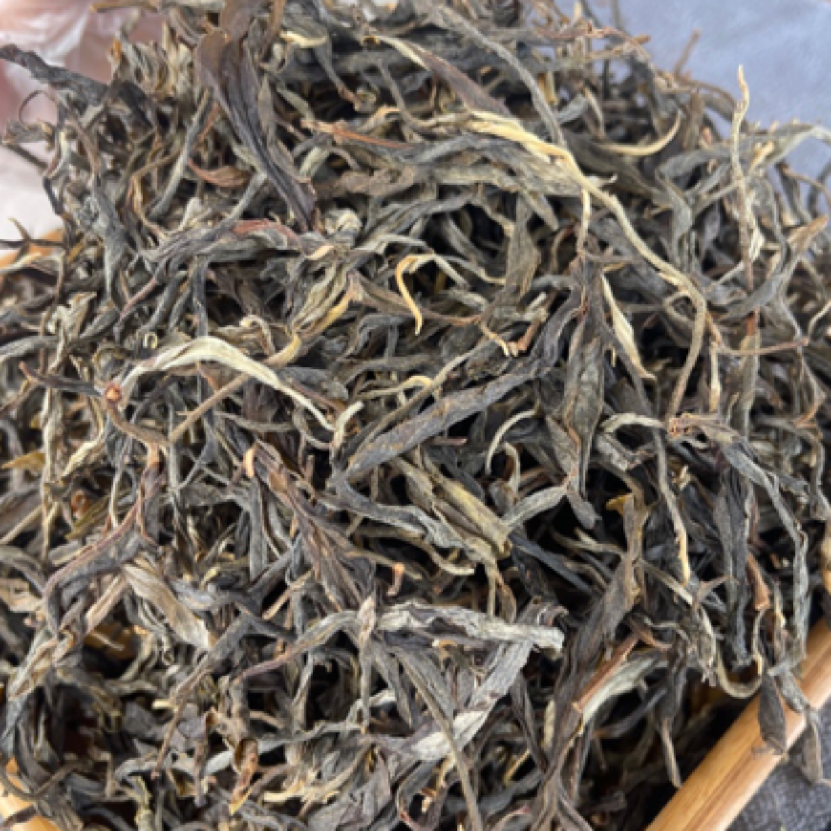 茗世推荐，2024年头春头采怕拍古树茶生普