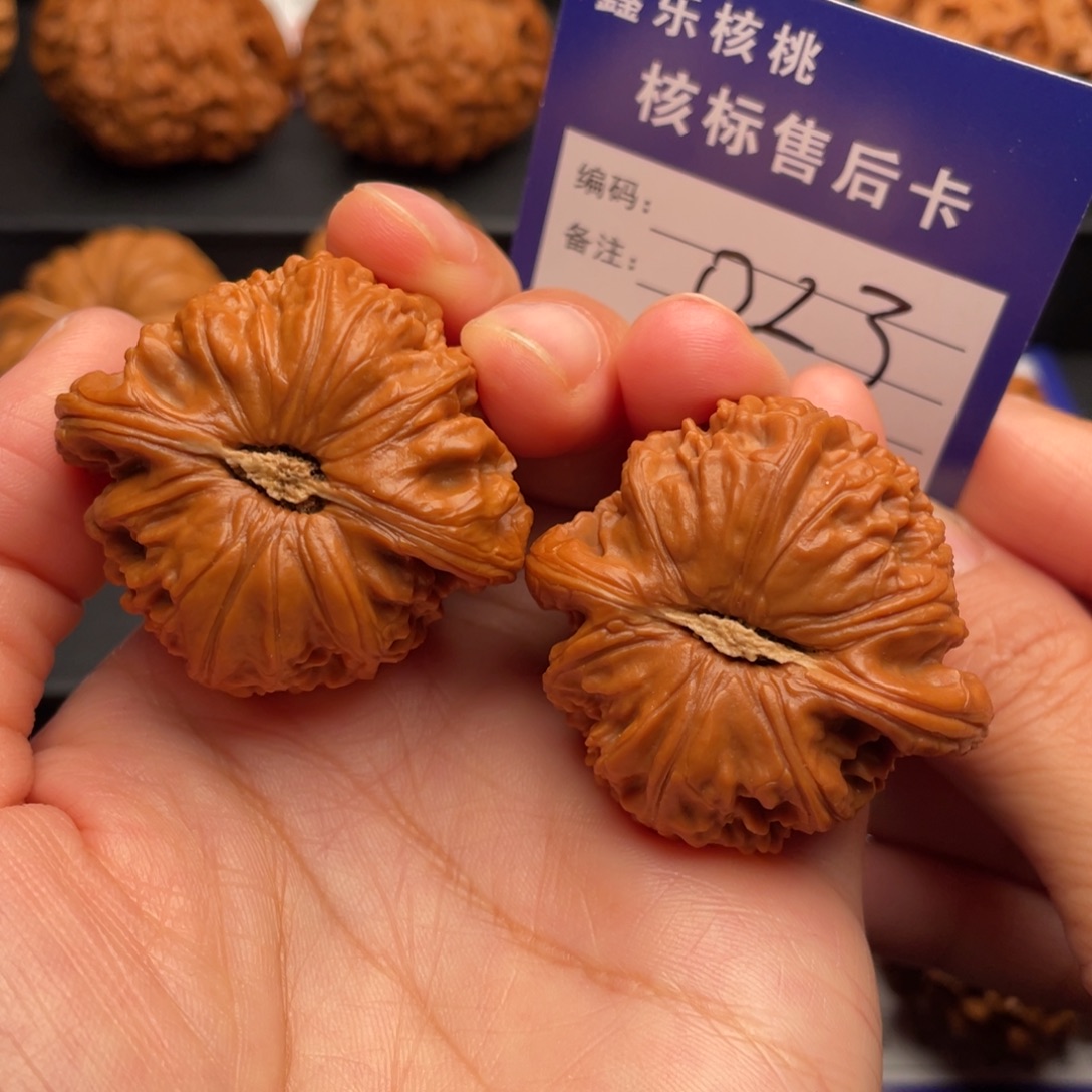 ****在把件文玩核桃白狮子41尺023号