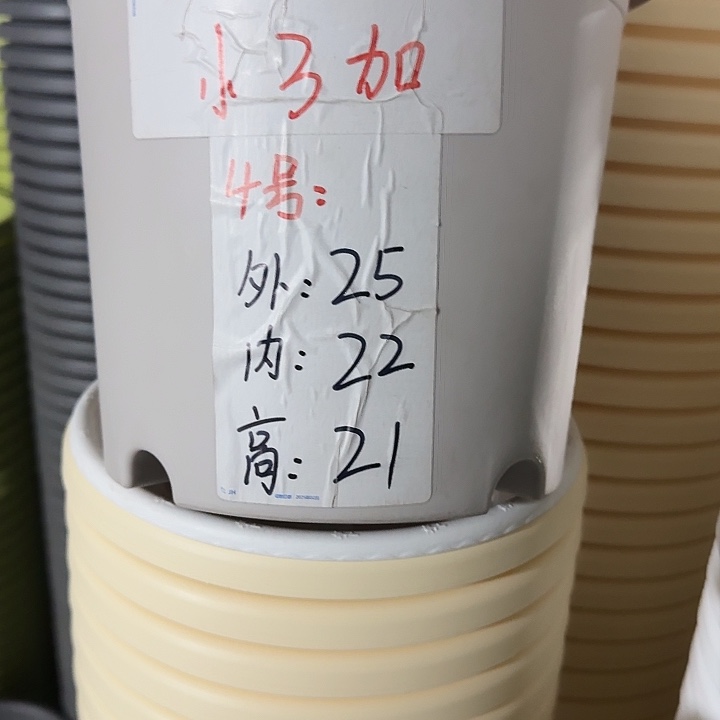 四季4号灰白无托10个特价
