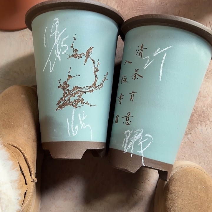 16号………………………………我在