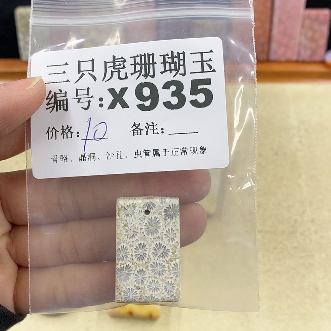 硅化珊瑚（珊瑚玉）1未镶嵌麻**头