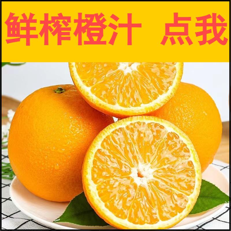 【榨汁橙】橙子批发60斤120斤300斤摆摊榨汁鲜榨橙汁夏橙产地直发