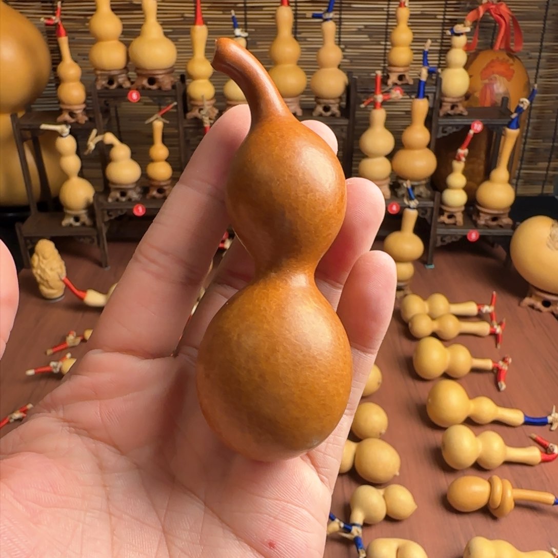 老皮二代蚂蚁…………