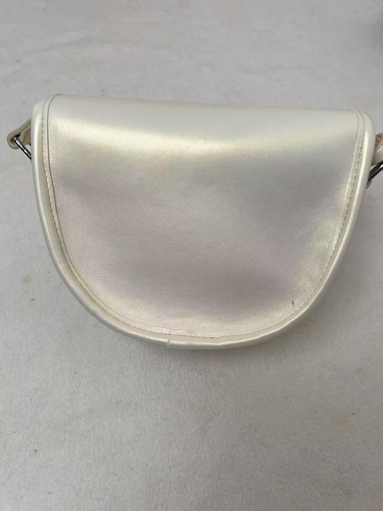 A16  蛇年新款女士小众百搭精品单肩