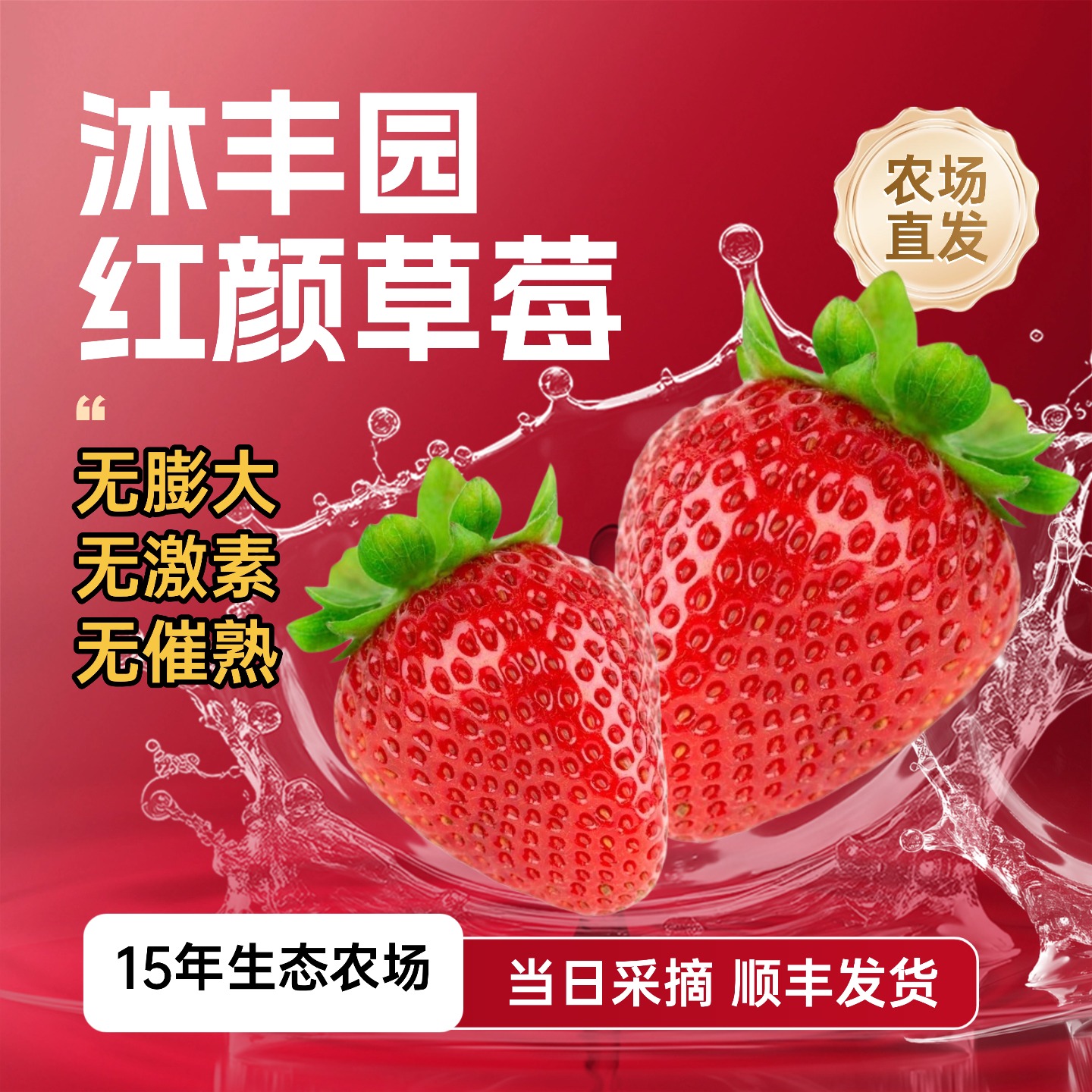 【娃娃孕妇放心吃】农场直发头茬鲜果草莓