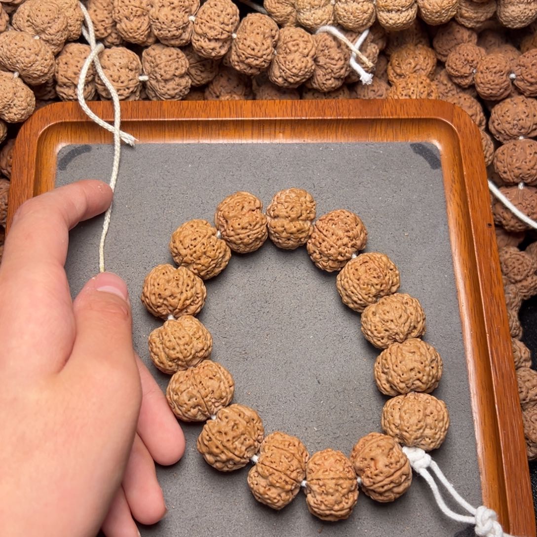 菩提5号尼泊尔大金刚六瓣23梅花蜂窝爆肉