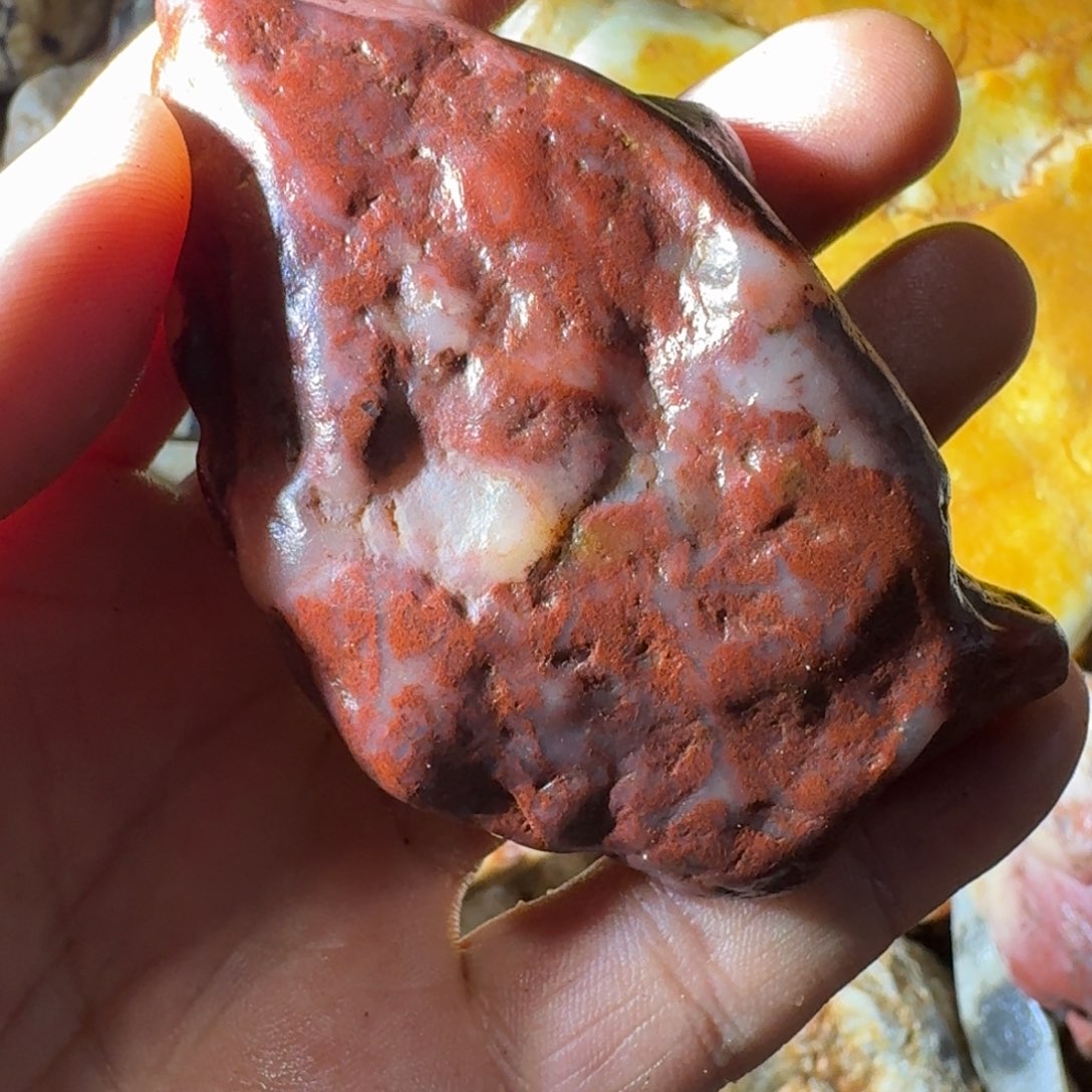 用***3寿山石899888998999888