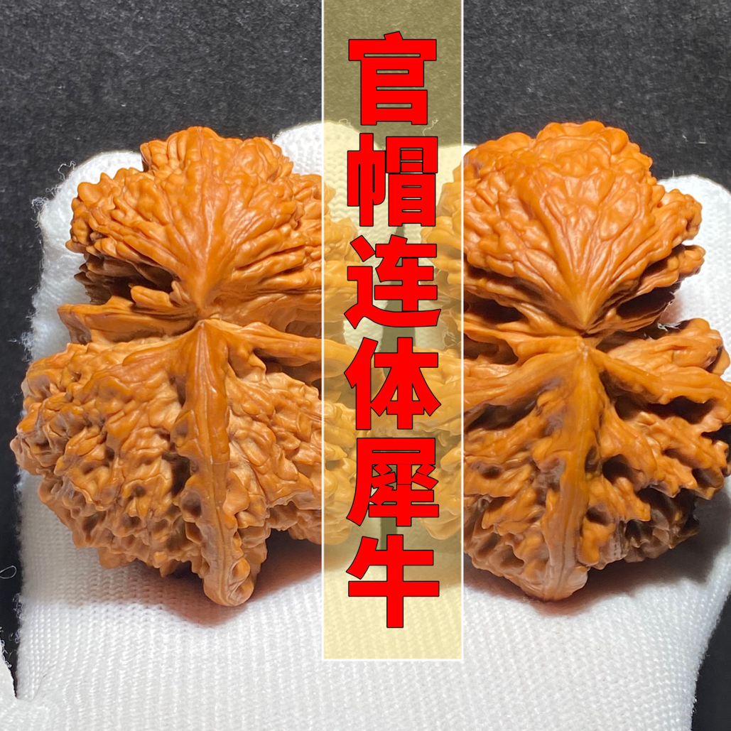 连体犀牛 官帽天然异形 顶配对 骨质皮色优良 盘玩收藏佳品