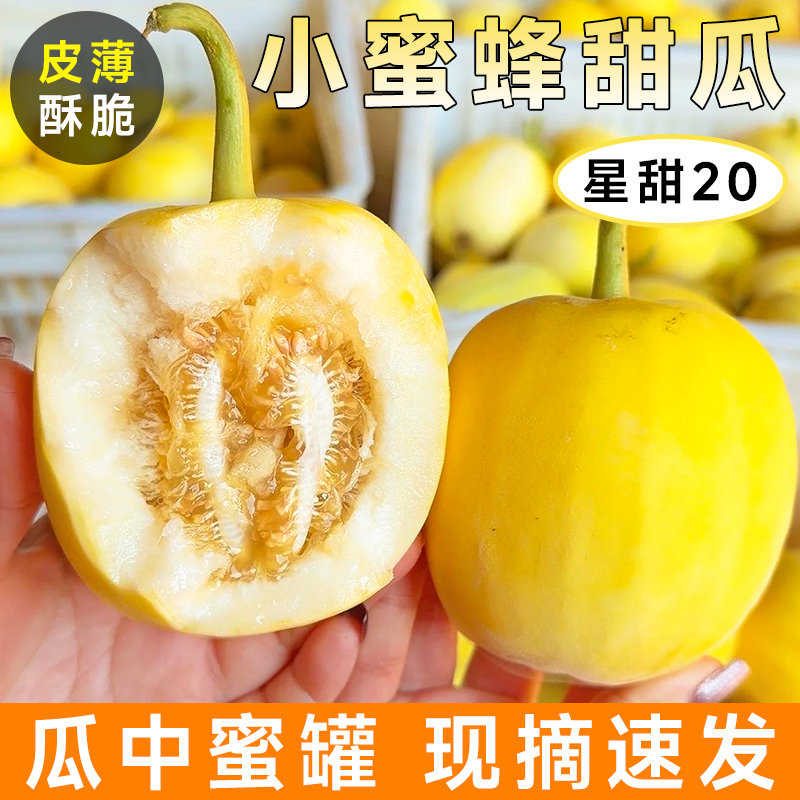 【小蜜罐甜瓜】爆甜山东小蜜蜂甜瓜新鲜水果星甜20甜瓜蜜罐奶香脆