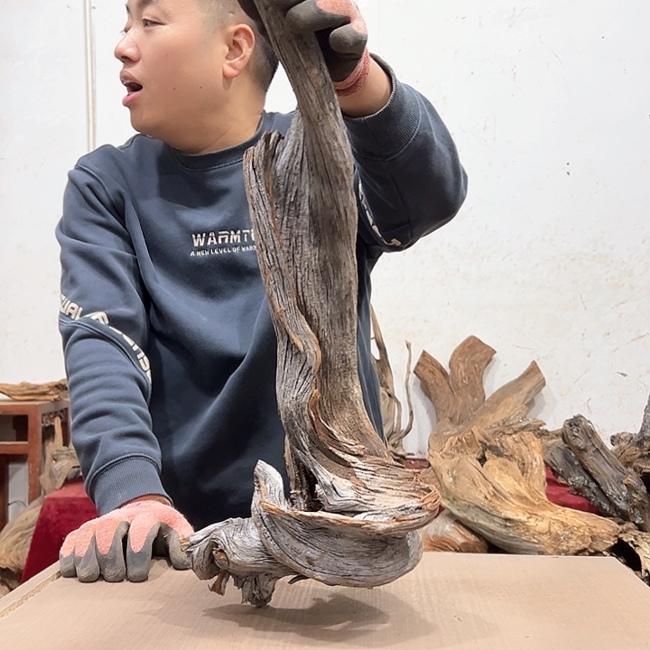 柏木柏**境我们都是好孩子呀我也是