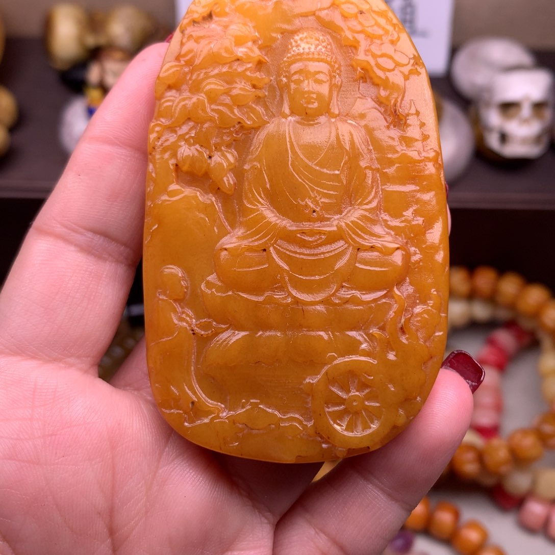 驼骨其他好看驼骨