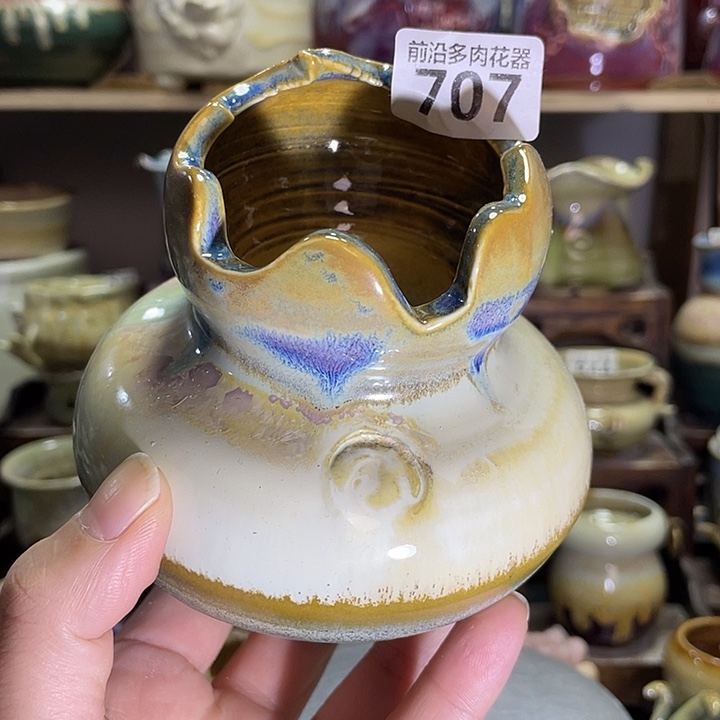 狼盆内口径6高度11