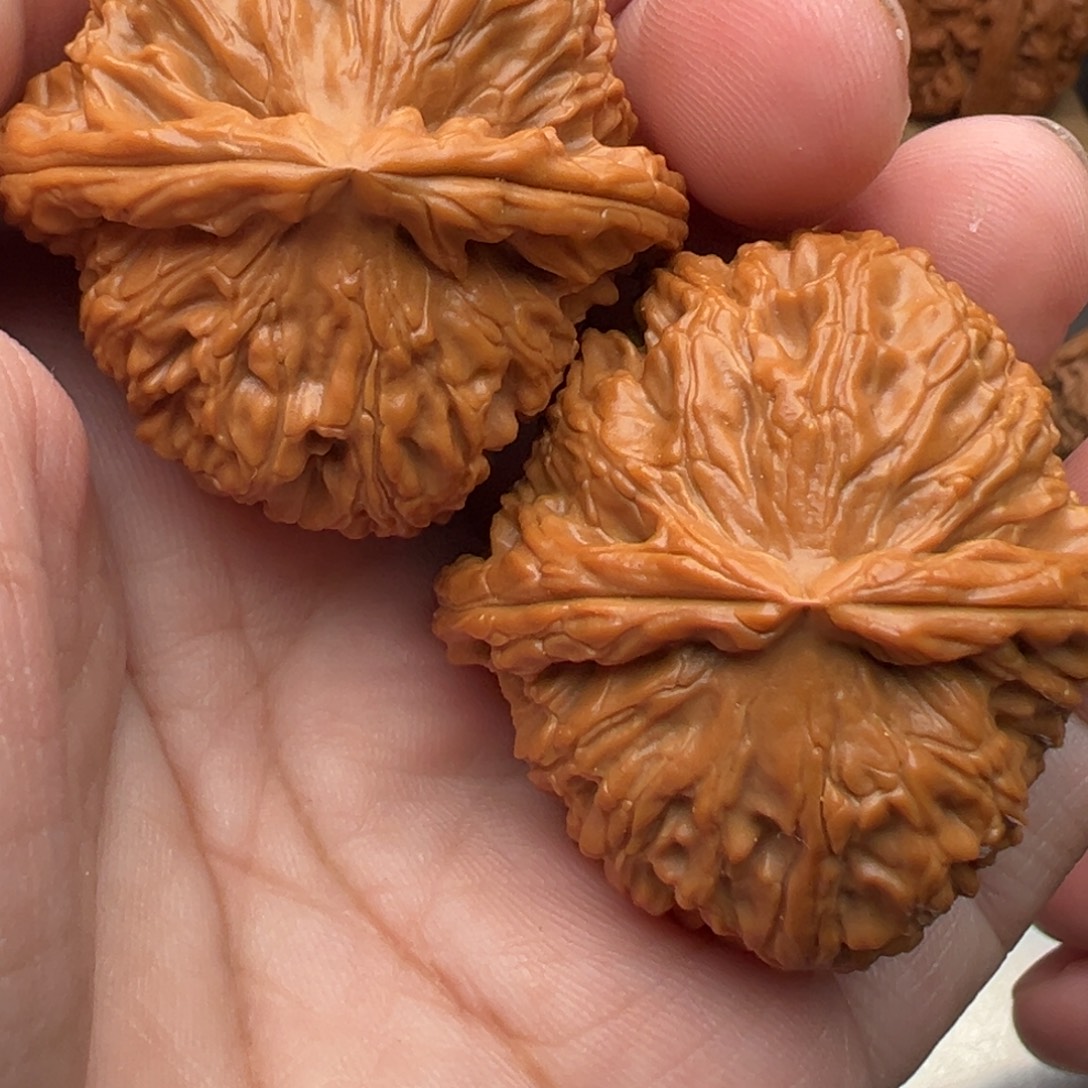文玩核桃把件白狮子