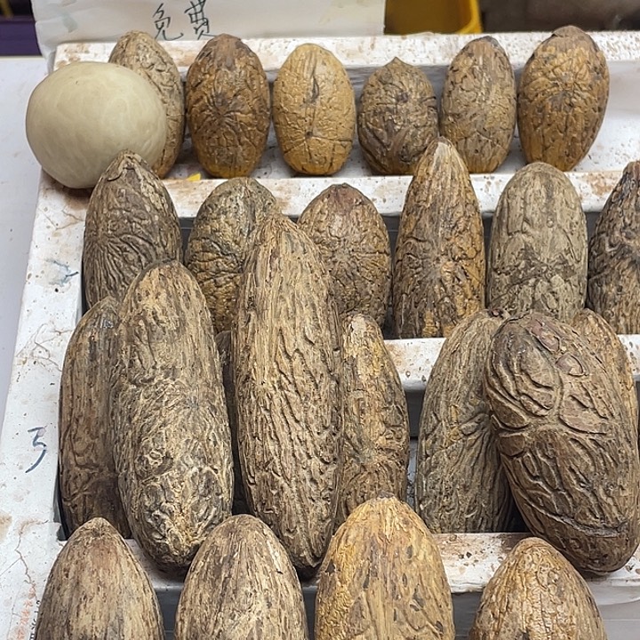 无***邪菩提111111111111111111111111