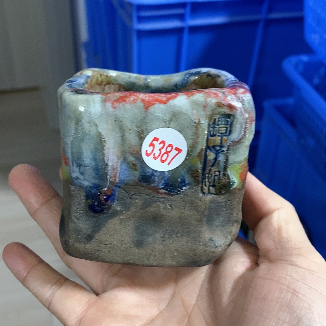 红陶拍5送一个小