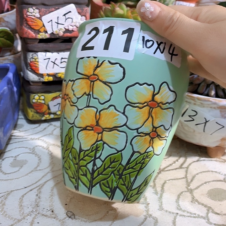 多肉花盆满15包邮