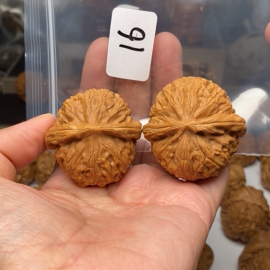 桃核把件16宫灯狮子