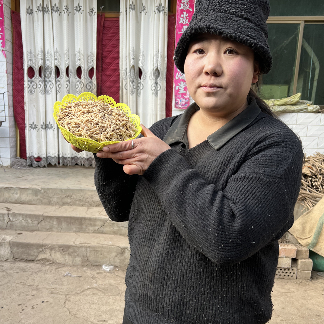 甘肃新货野山挖野麦冬500克包邮无硫磺精选大颗粒