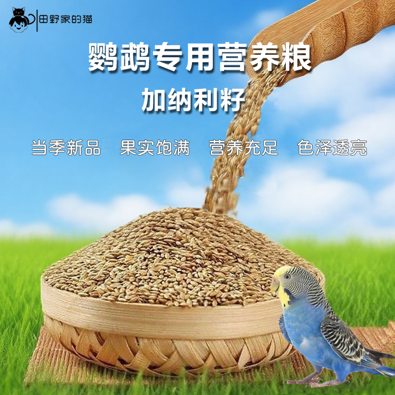 鹦鹉带壳鸟粮饲料加纳利子鸽粮金丝雀文鸟黄雀芙蓉专用中小型鸟食