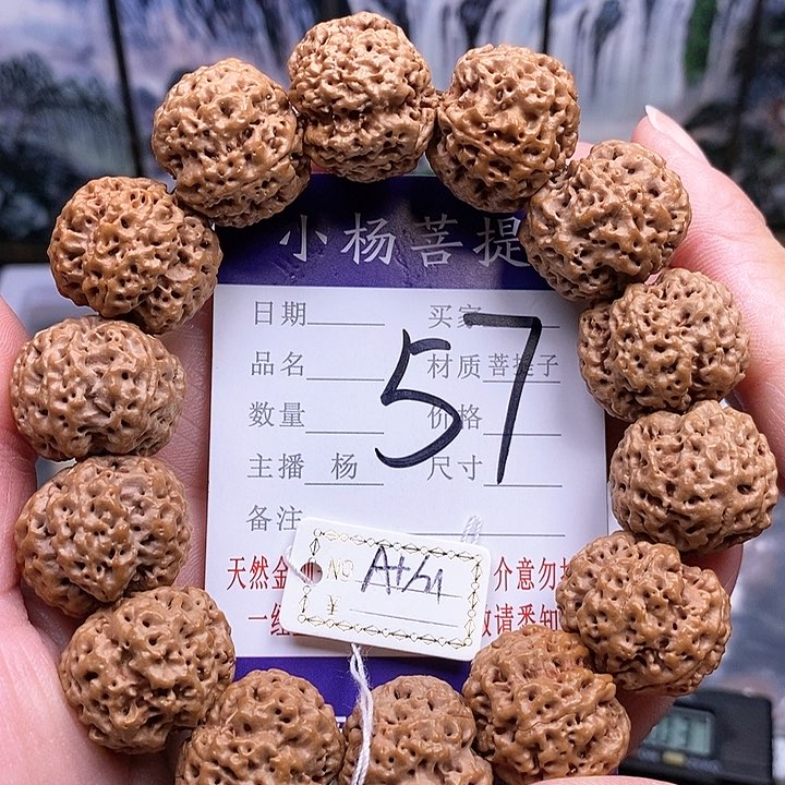 手串金刚菩提21蜂王