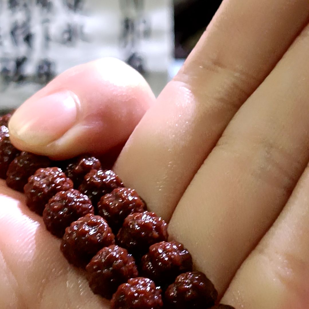 吊坠金刚菩提原桩盘龙8.5mm