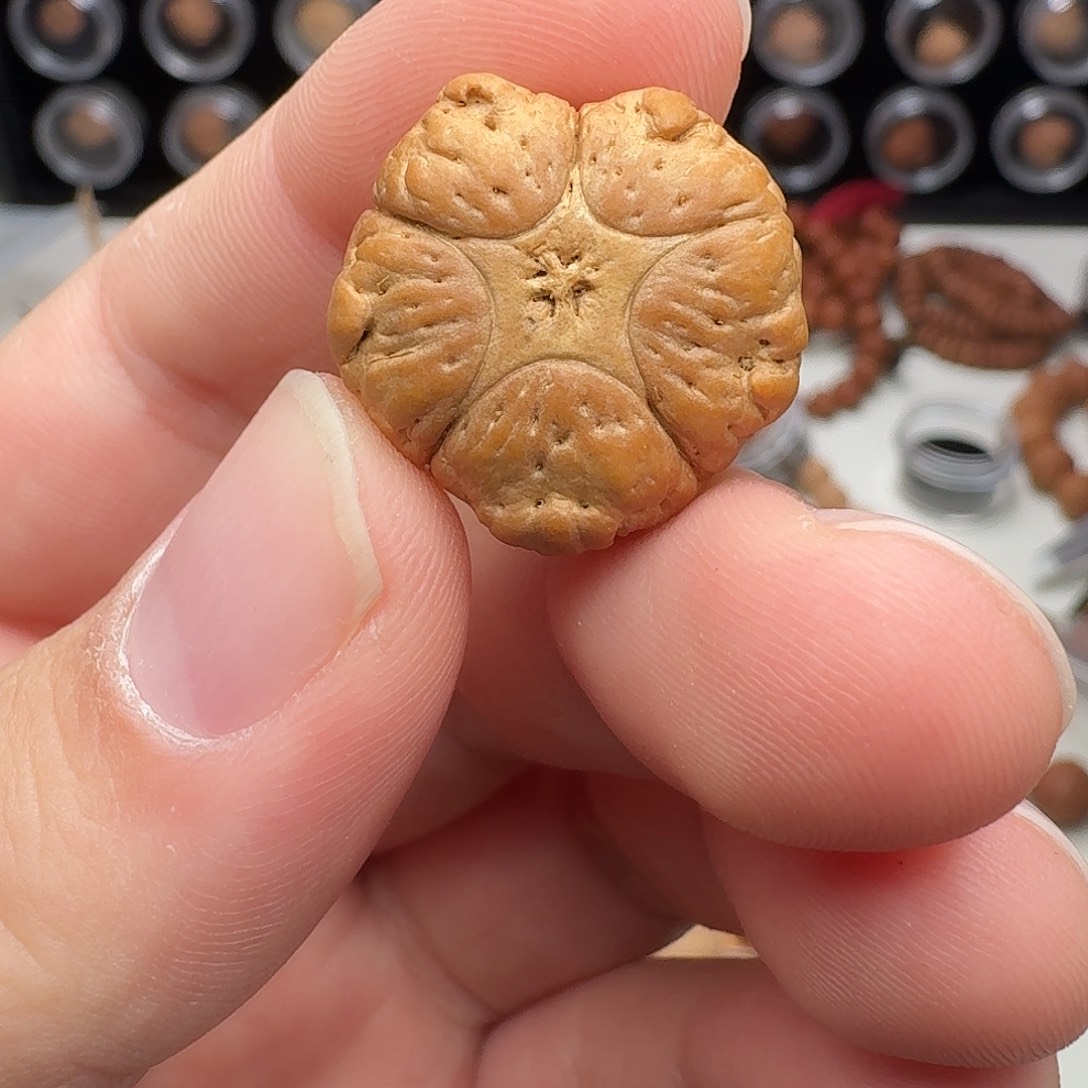 凤眼菩提吊坠五星三通