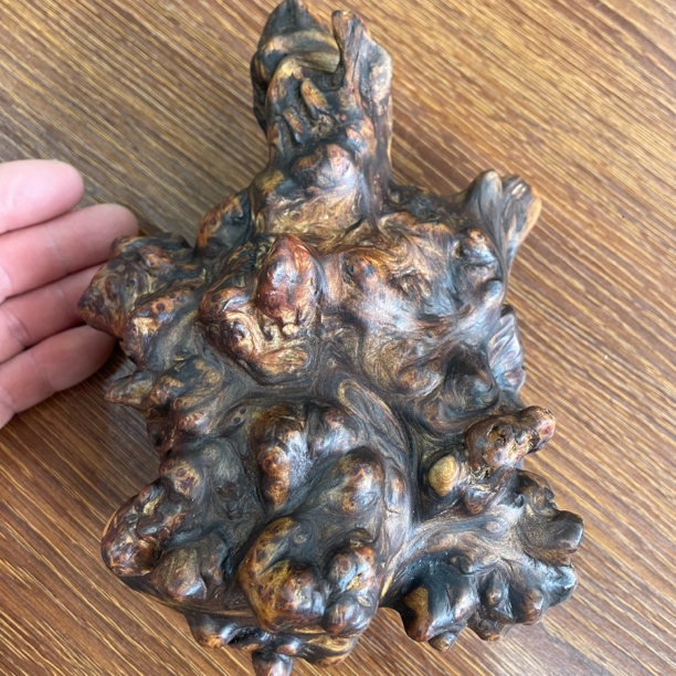 根雕摆件天然树根土沉香果香味