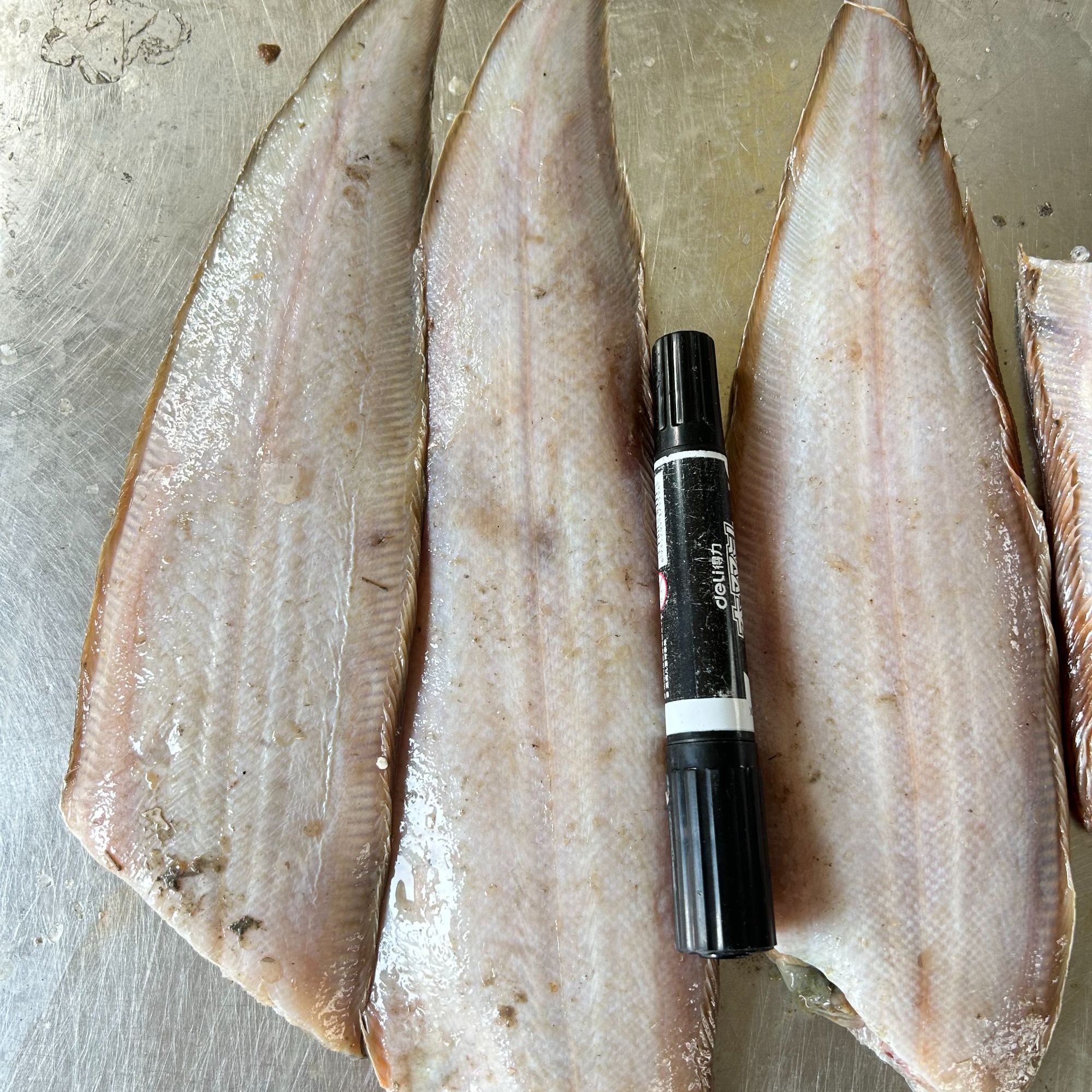 龙利鱼踏板鱼【残鱼5斤】掉头残尾损伤鱼