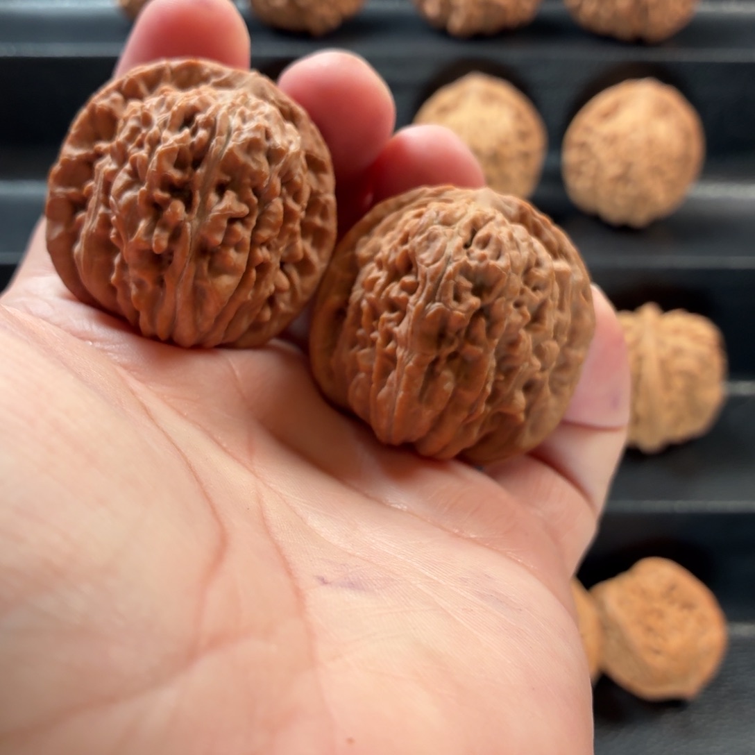 想***出把件桃核蓟县山地楼40