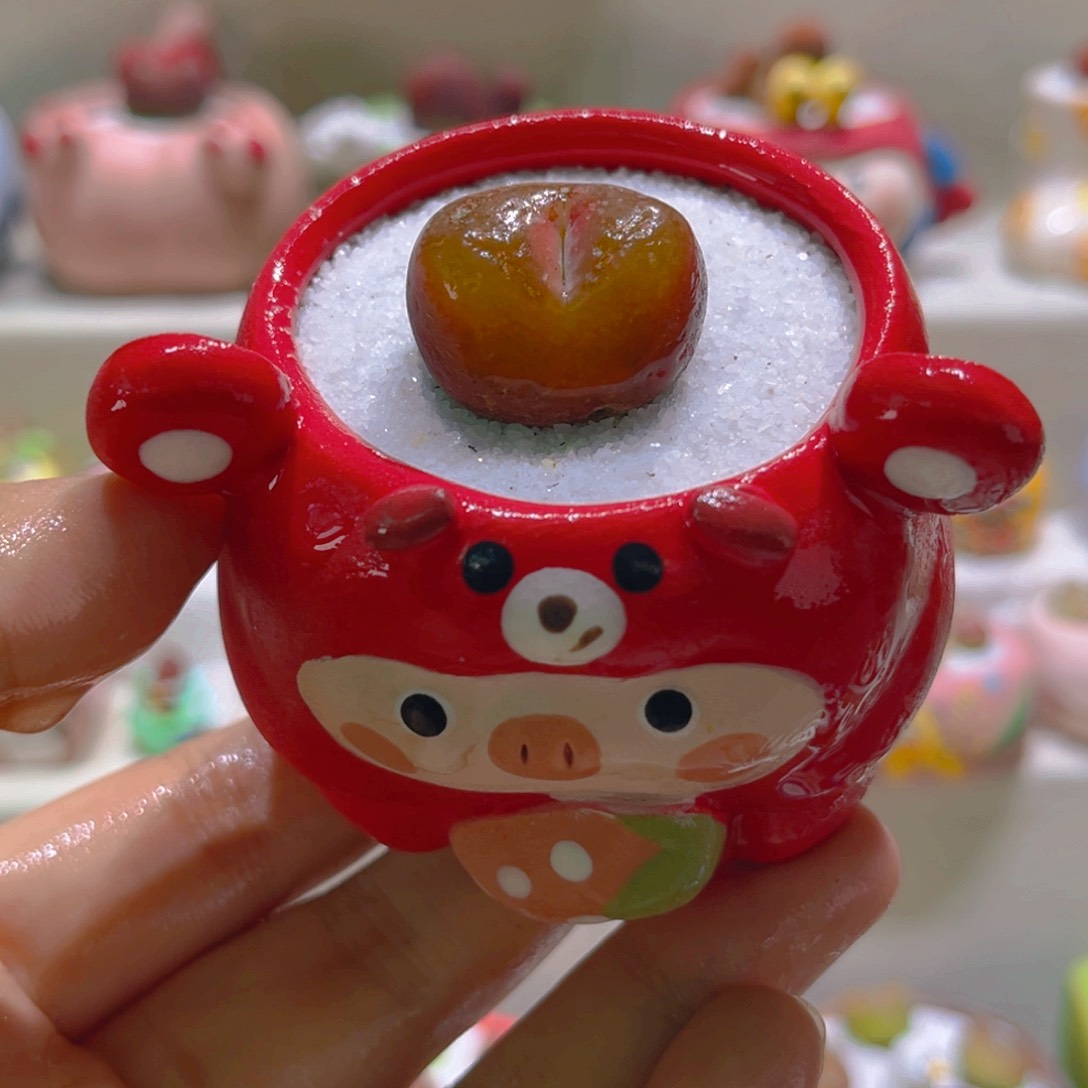 171高端多肉带盆带土