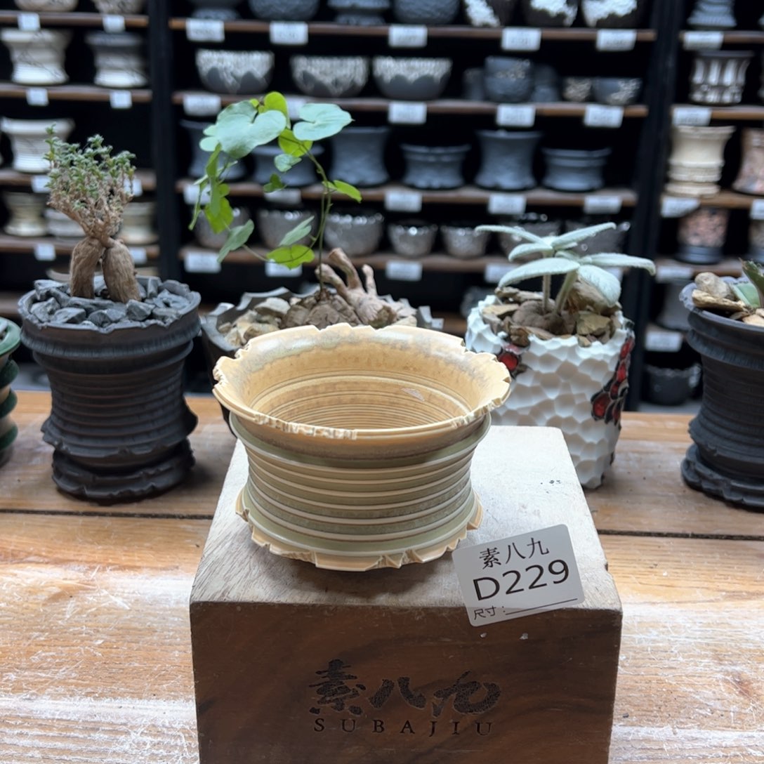 素八九陶瓷内口10.5高6.5