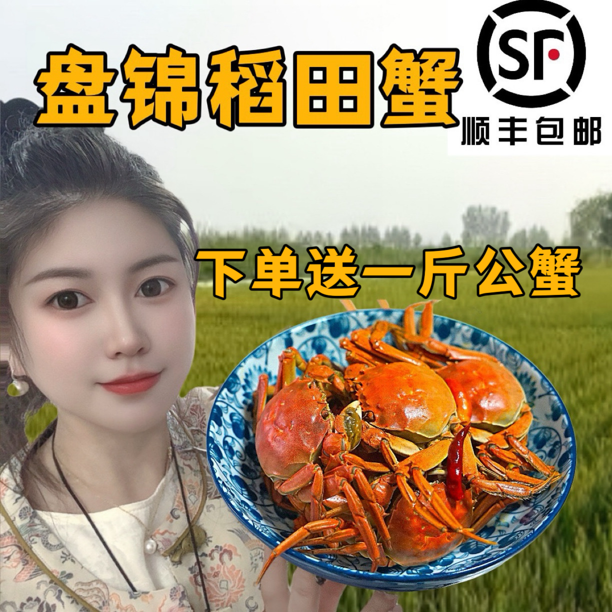 盘锦河蟹【活蟹】1.4-1.7两全母3斤（23只左右）在送1斤1-1.5两公蟹