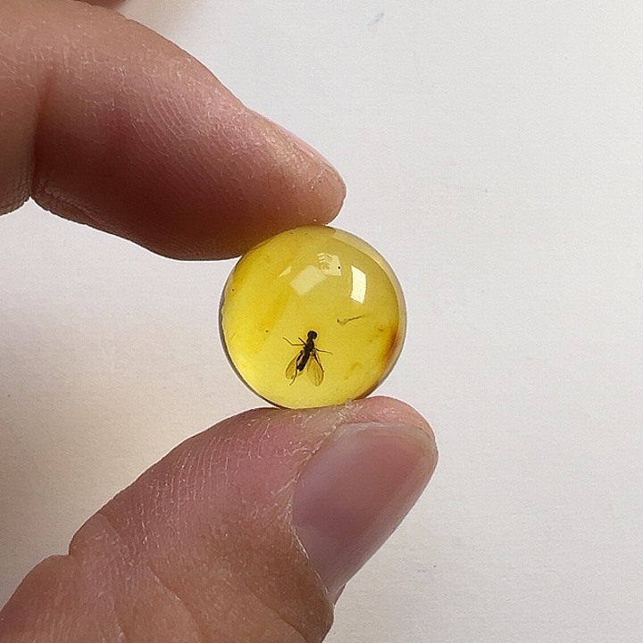 繁***花虫珀未镶嵌颈饰虫珀