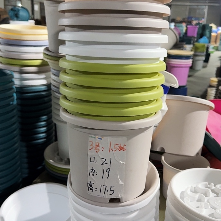 四季3#口径21灰白10个无托