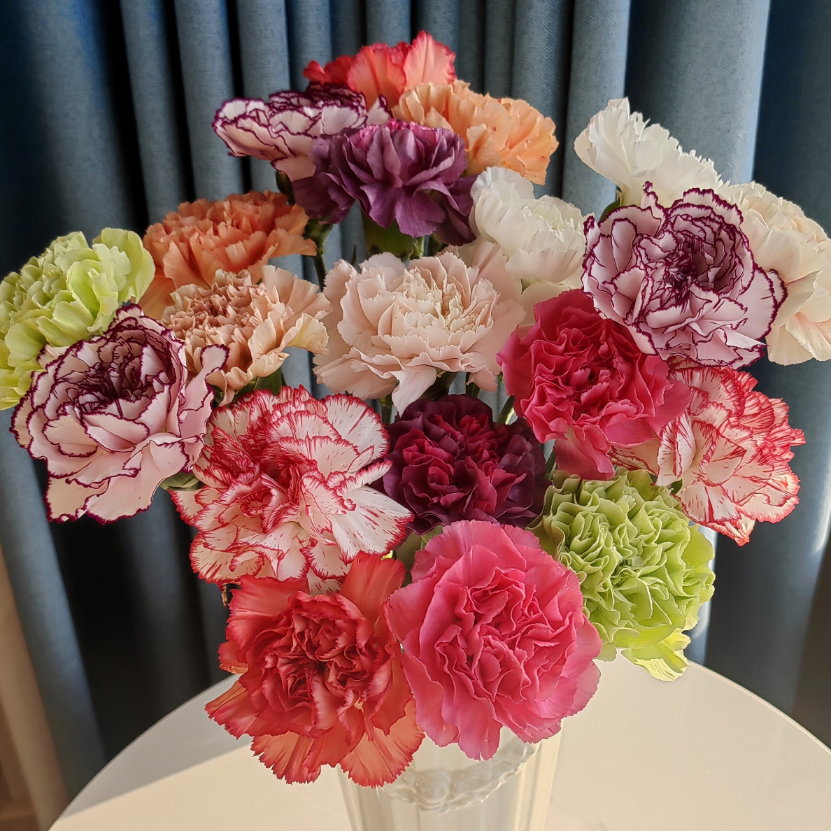 混色康乃馨 20支（颜色是随机搭配，图片仅供参考）介意勿拍+营养剂