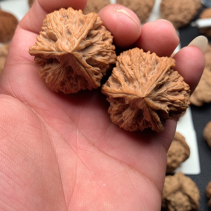 文玩核桃把件筋精品玉龙粗筋三棱