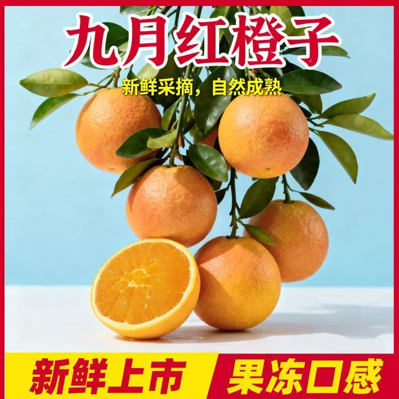 正宗九月红脐橙新鲜当季水果产地现摘现发手剥甜橙