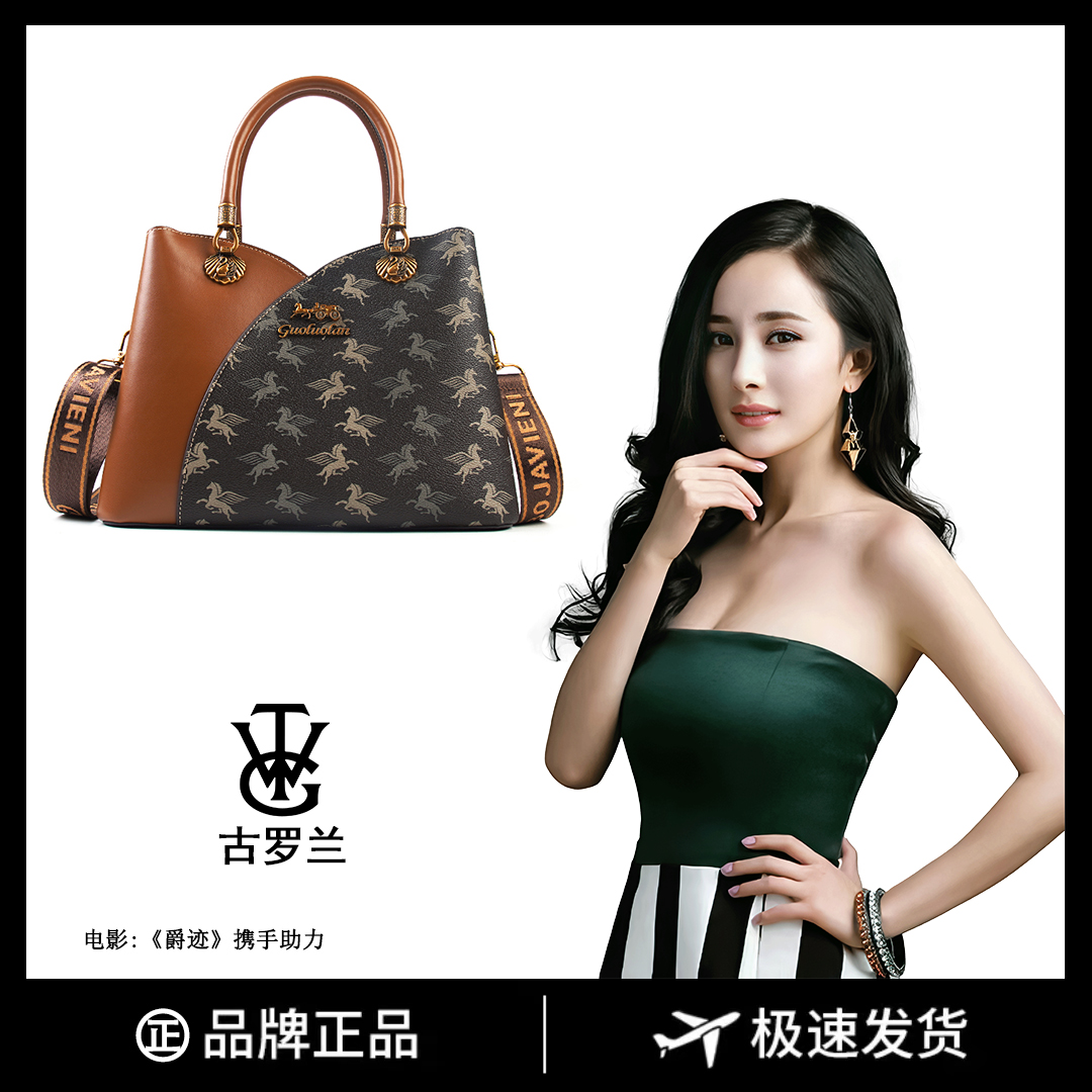 【长28宽13高21】手提单肩包女款斜挎大容量时尚女包3242-15