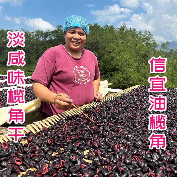 黑榄角广东信宜地方农产品老树新鲜油榄角干黑橄榄肉下饭菜
