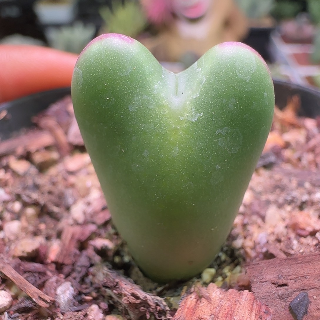 哈哈哈哈哈哈哈哈。 633