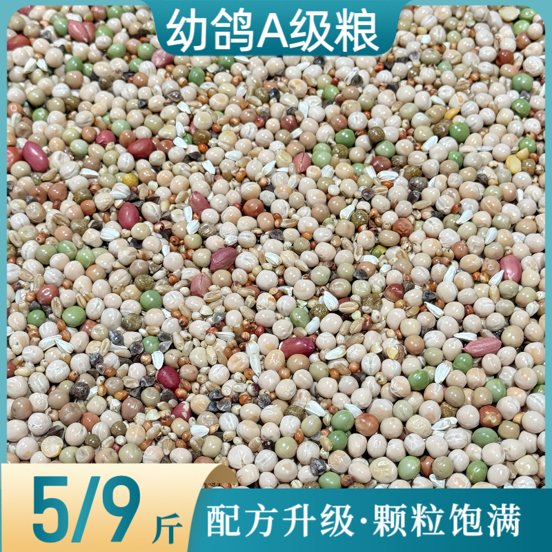中信全能精品幼鸽A级粮5/9斤种鸽幼鸽肉鸽通用日常粮鸟食鸽子包邮