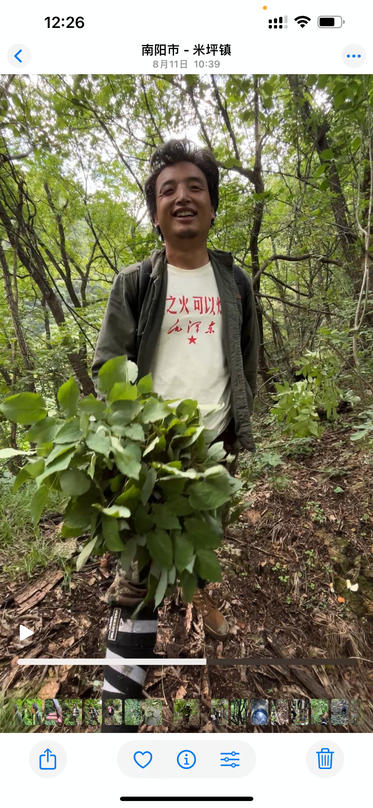 阿君 （三支草）深山野生九叶草哈哈哈八个儿子