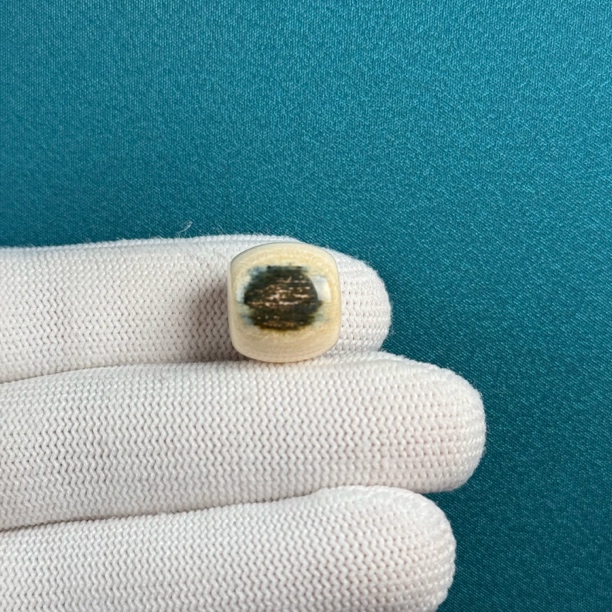 D52-63天然猛犸牙 蓝眼睛桶珠14.2*13.3mm支持复检假一罚十