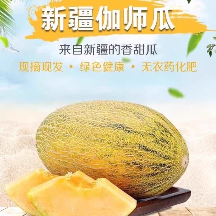 新疆喀什直发新疆正宗伽师瓜八六王当季新鲜脆甜水果