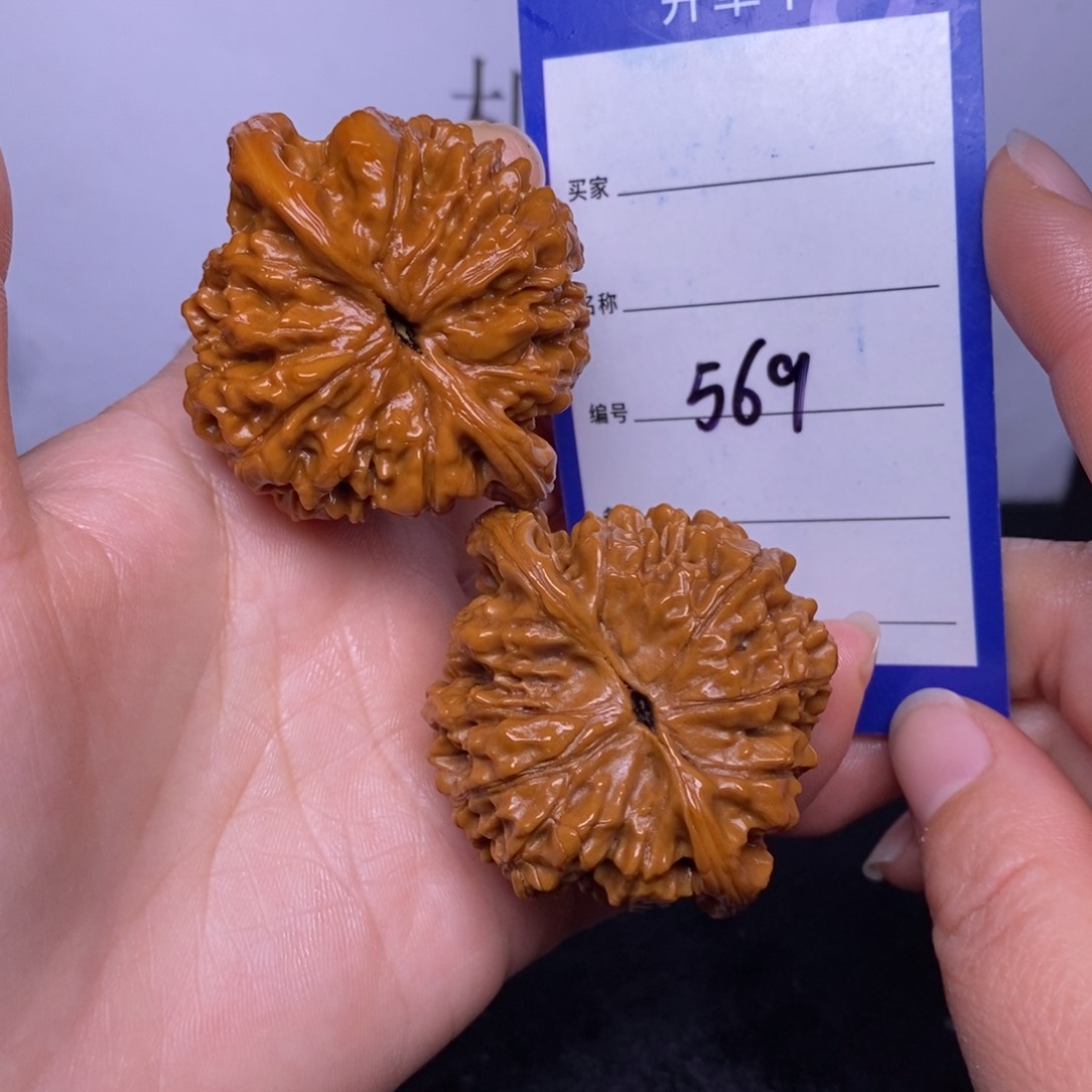 文玩核桃把件569/48官帽色差