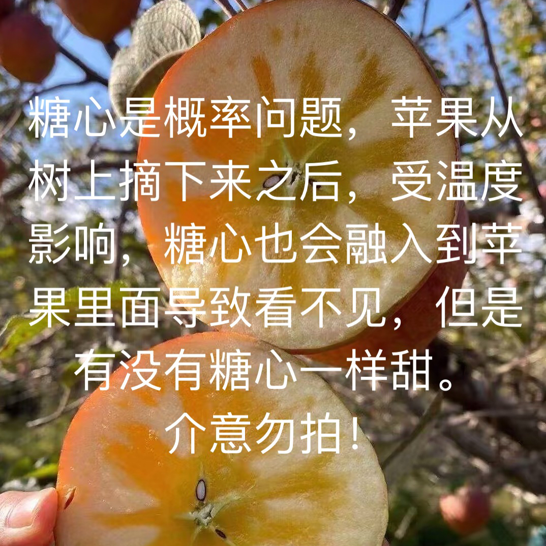 云南昭通红富士冰糖心丑苹果现在现发
