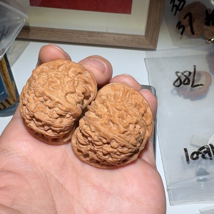 文玩核桃把件44尺寸白狮子01号
