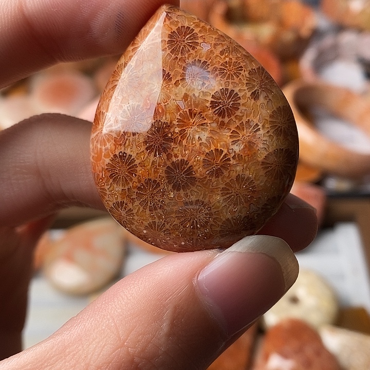 棋***海硅化珊瑚未镶嵌颈饰